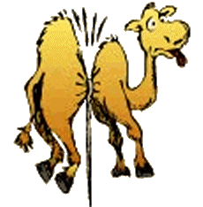 What is a camel doing in the eye of a needle??